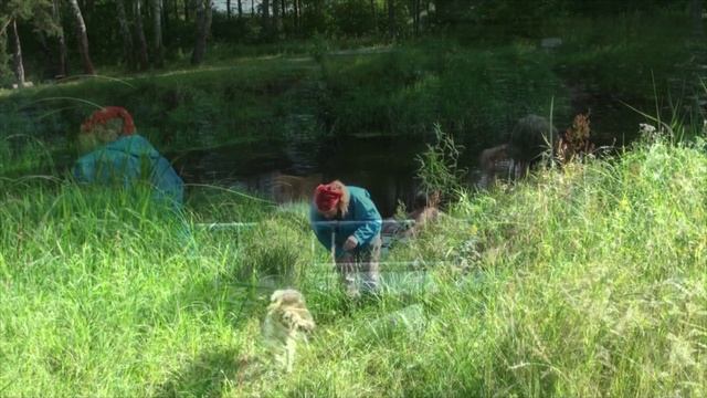 Лета 2020 Нерская июль2020 1