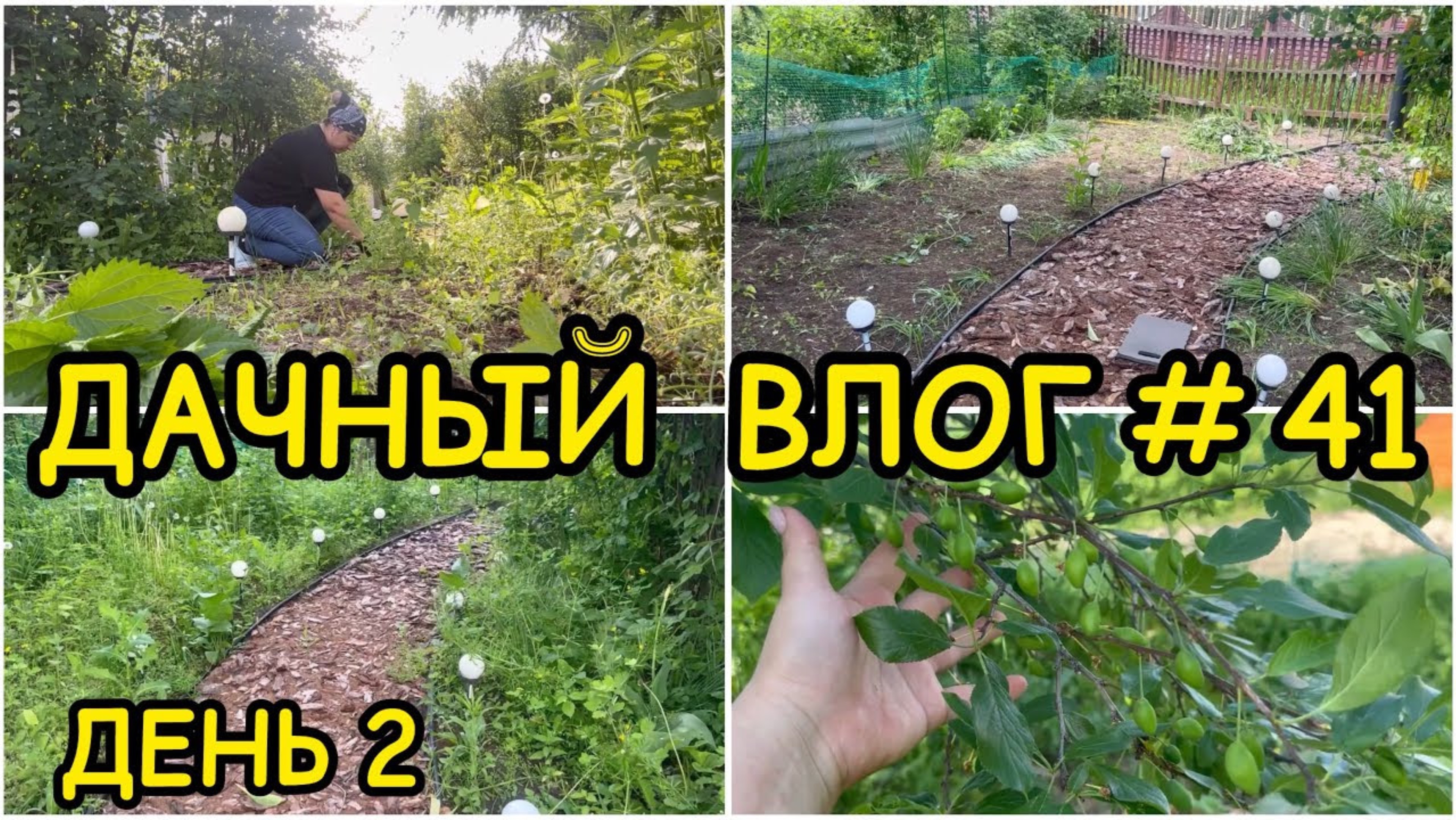 🏡 ДАЧНЫЙ ВЛОГ #41: ДЕНЬ 2 / МАСШТАБНАЯ ПРОПОЛКА УБОРКА УЧАСТКА РАБОТЫ В САДУ ПЛАНЫ НА ДАЧНЫЙ СЕЗОН смотреть онлайн