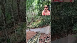 Электросани к водопаду Датанла, экскурсия Далат, Вьетнам за 72 тысячи рублей с перелетом.Тутси-диеты