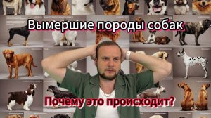 Вымершие породы собак!
Почему это происходит и как остановить?
