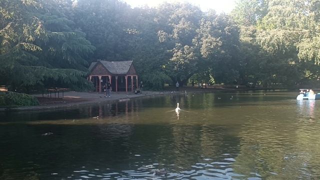 Лондон, парк Баттерси, озеро Ботинг ("Лодочное озеро") (London, Battersea Park, Boating Lake)