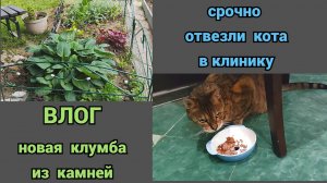Садовый вайб🌱Срочно поехали в ветеринарную клинику
