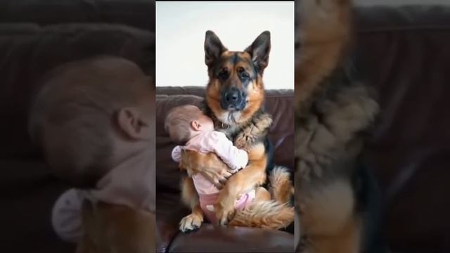 Мирного неба всем и Божьего Благословения🙏❤ смотреть онлайн