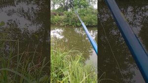 рыбалка на карасятнике