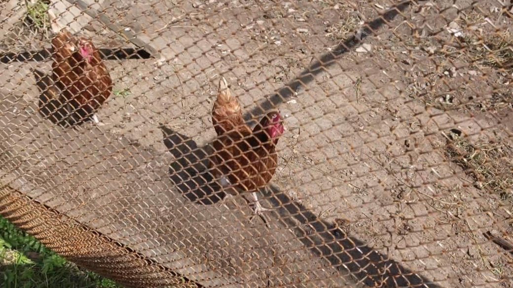 18-06-2025💥Влог💥среда смотреть онлайн