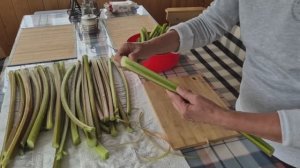 Первые заготовки на зиму. Компот из ревеня
