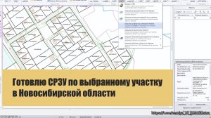 Готовлю СРЗУ по выбранному участку в Новосибирской области