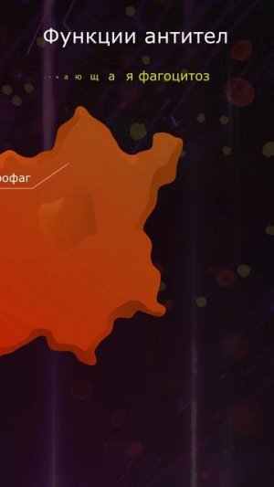 Функции антител