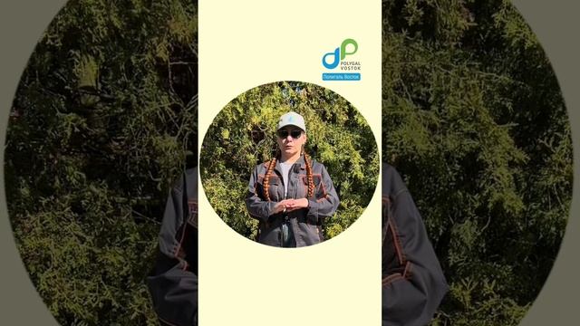 Все, что нужно знать про УФ-защиту поликарбоната от Полигаль Восток! ☀️🛡 смотреть онлайн