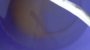 Промывка парового утюга TEFAL Pro Express Protect GV9230E0