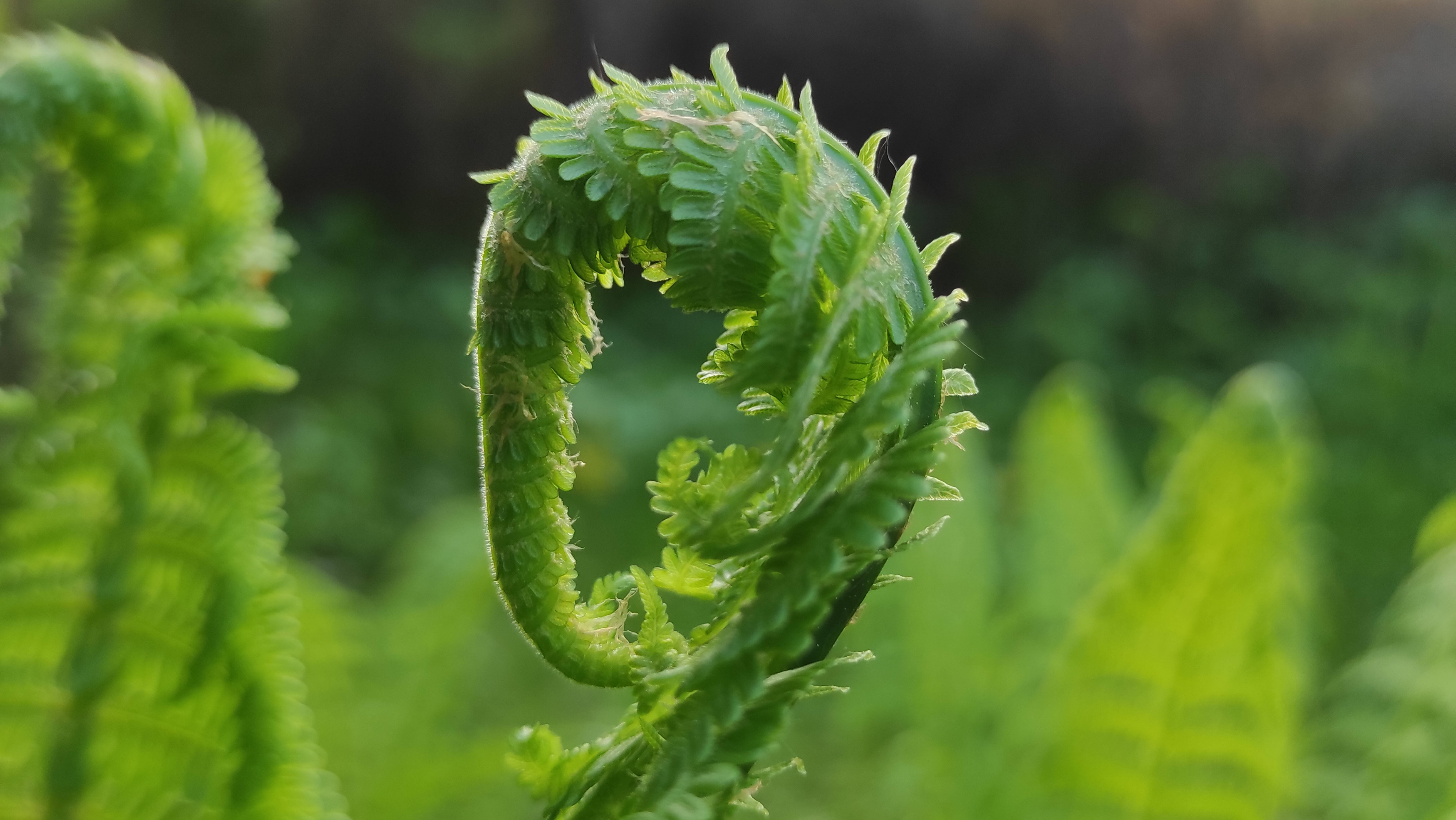 Приехала на дачку во второй раз 31.05.25