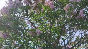 Пройдёмся по огороду.