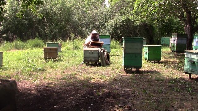 MVI_2331 смотреть онлайн