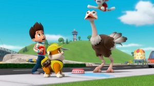 Щенячий патруль | Щенки Крепыш и Рекс спасают динозавров и животных c Трэкером и Гончиком | Nick Jr.