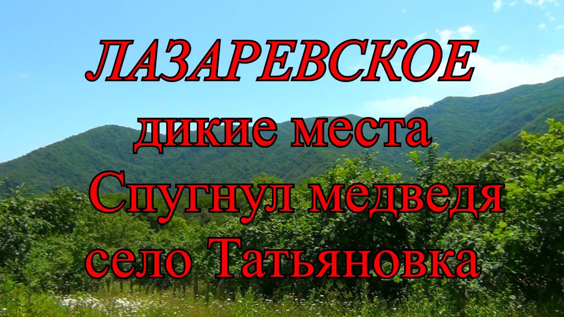 Лазаревское. Напугал медведя в горах. смотреть онлайн
