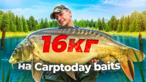 Carptoday Baits 3: Поймали крупного карпа за 24 часа на диком водоёме