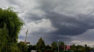 ВЛОГ : БОРЩ  / ЖЕНЯ ПРАВ НА СЧЁТ ГРУШИ / Я РАССТРОИЛАСЬ