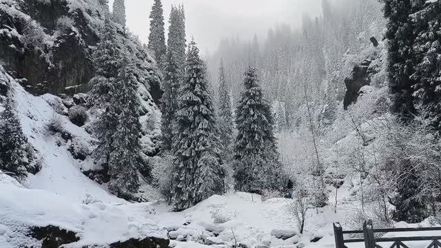 Сказочное ущелье Алма-Арасан в Казахстане