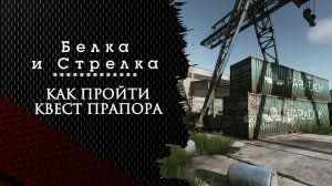 Белка и Стрелка. Тарков. Как пройти задание