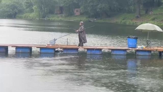 Поимка Карпа смотреть онлайн