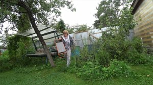 Сумку с бельишком в руку, кошек подмышку и на дачу….. Сажать уже поздно…