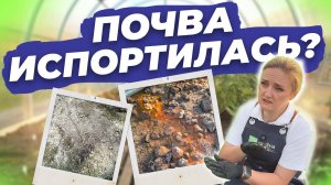 НАЛЕТ и РЖАВЧИНА НА ПОЧВЕ