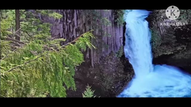 мы родились в Сибири//донат на мопед//обзор канала смотреть онлайн