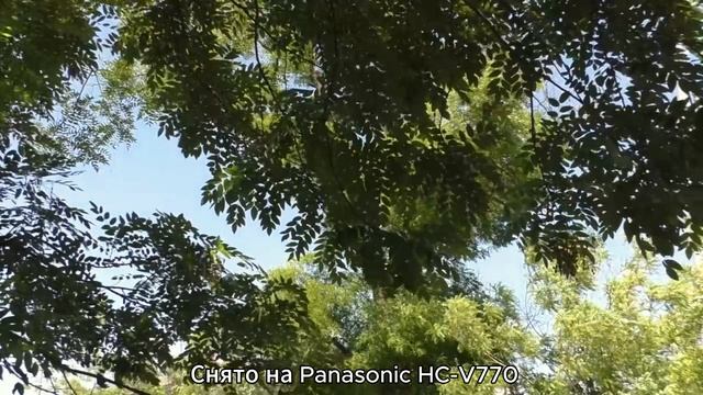 Зарисовка. Panasonic HC-V770 смотреть онлайн