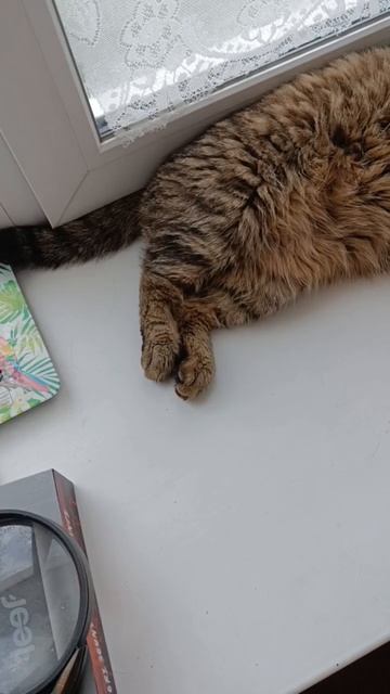 Барсик и ликёр из одуванчиков смотреть онлайн