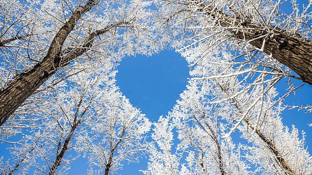 Алиса Игнатьева - Белым снегом..автор ролика Светлый смотреть онлайн