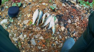 Как я ищу рыбу? Вот так! Места, проводка, темп