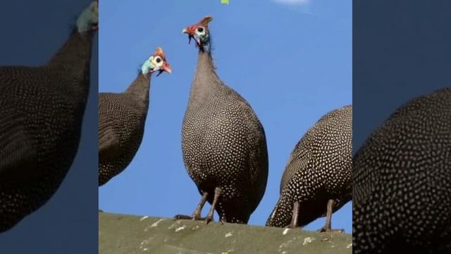 Это интересно-6