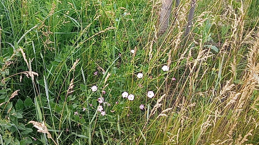 Школа №3 смотреть онлайн