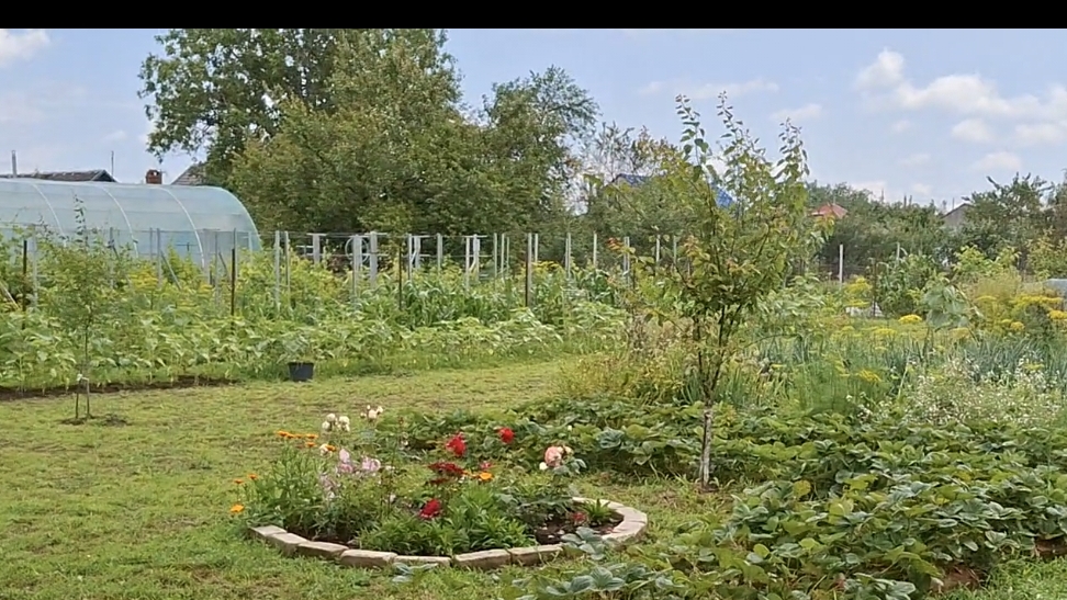 Переезд из Сибири на юг. Купили дом на юге. смотреть онлайн