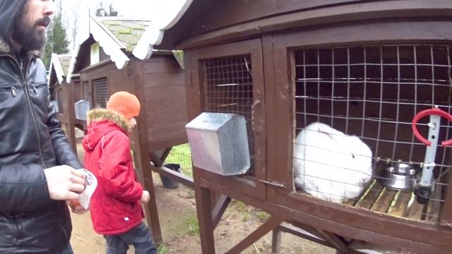 Зубровник возле Токсово / Контактный зоопарк / Тёма на лошади смотреть онлайн