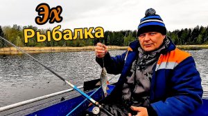 А вот и плотва подошла! рыбалка на вечерней зорьке