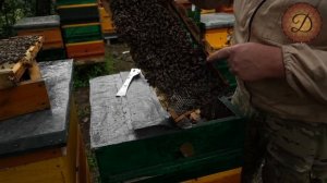 РЕЗУЛЬТАТЫ ВЫВОДА МАТОК