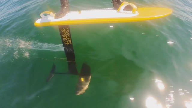 На гидрофойле по оз. Большое