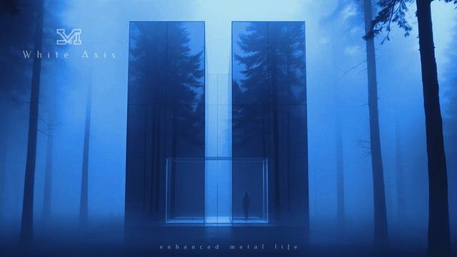 This Mysterious Forest Portal Will Blow Your Mind! смотреть онлайн