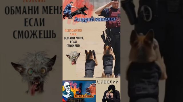 Евро-богатыри смотреть онлайн