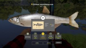 ТРОФЕЙ ШЕМАЯ ЧЕРНОМОРСКАЯ!!!СЕВЕРСКИЙ ДОНЕЦ - РУССКАЯ РЫБАЛКА 4