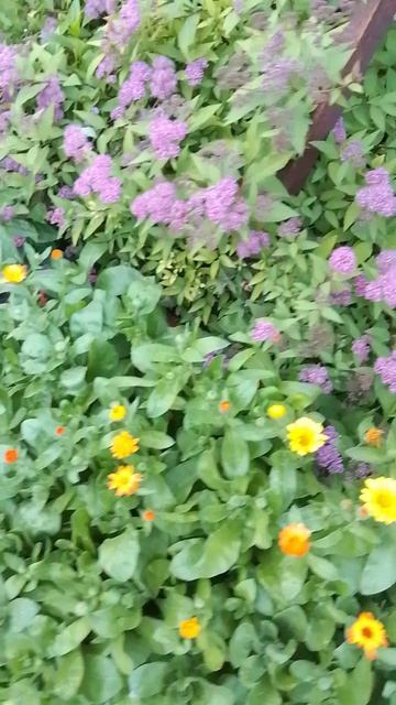 С добрым утром.