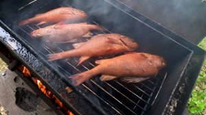 Коптим рыбу