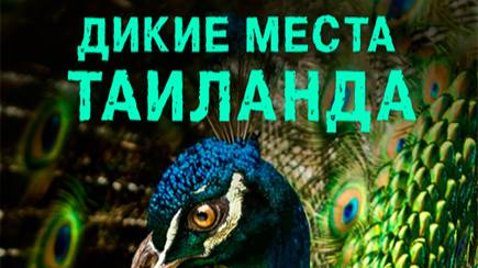 Дикие места Таиланда 2 серия | NAT Geo смотреть онлайн