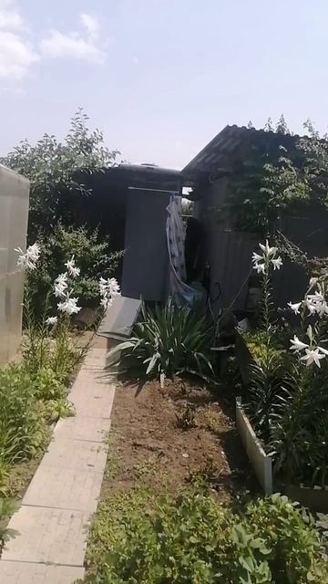 Ароматный сад