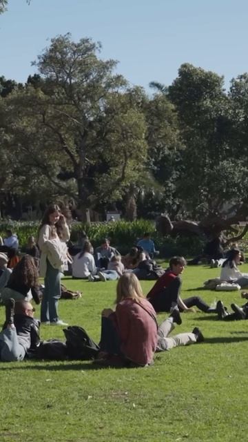 Один из самых крутых университетов, которые я видел! Хотя, наверное самый! #юар