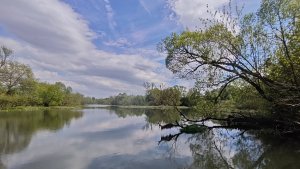 Sup сплав. р.Осетр д.Новомойгоры - с.Мягкое 14.06.25