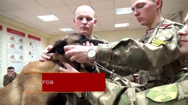 Агитационный ролик ПВИ 2023