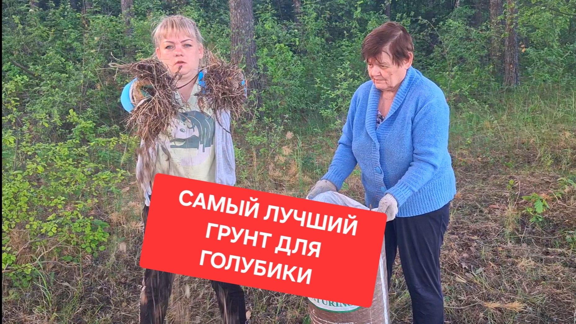 Грунт для голубики. Где взять бесплатно? Отвечаю...