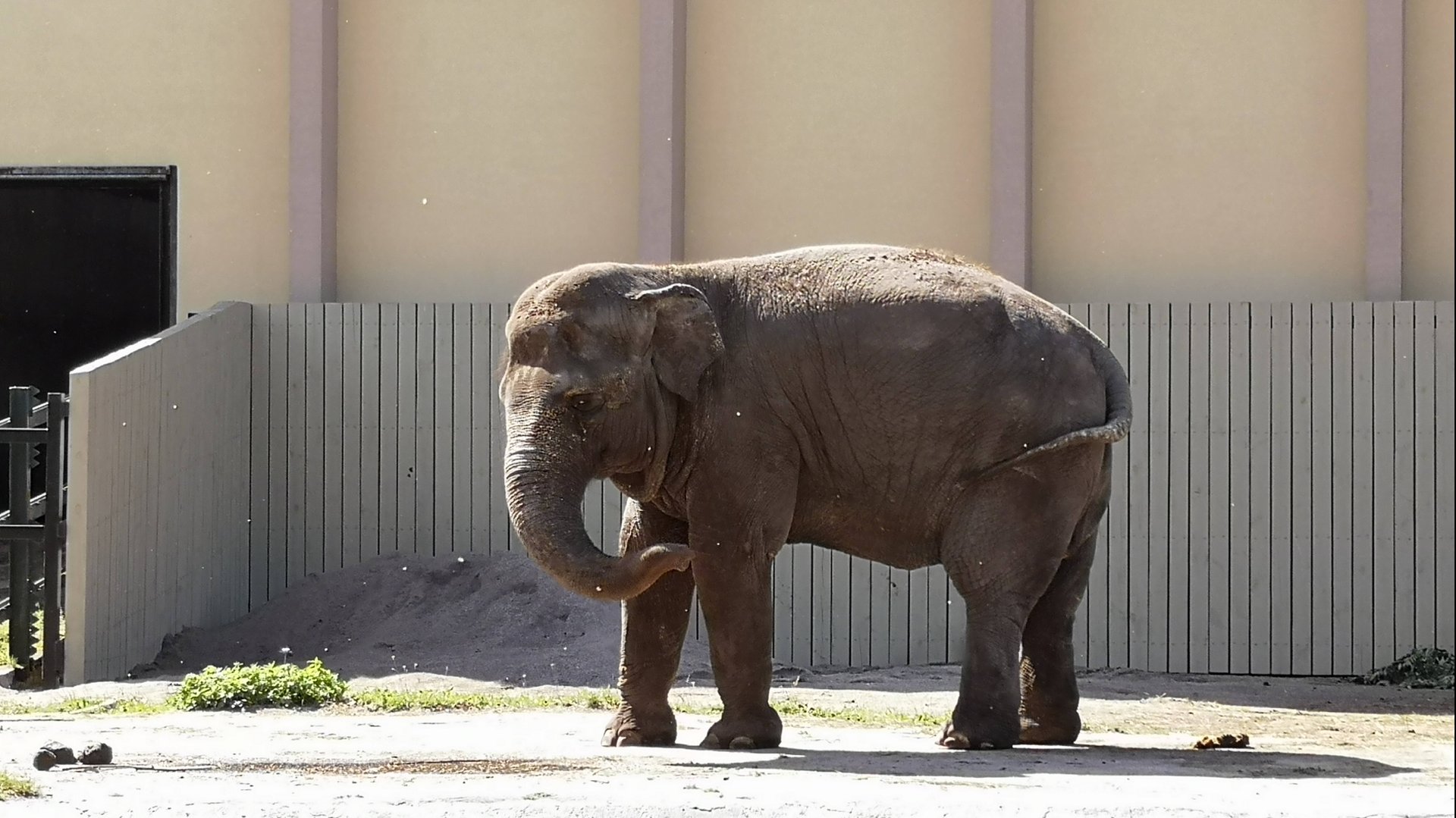 5 июля 2024 г. Калининградский зоопарк
#калининград #зоопарк смотреть онлайн